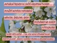 CO ZDE NALEZNETE?